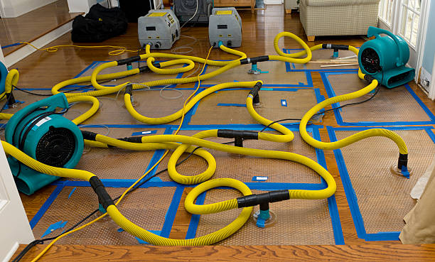 Professional Flood Damage Restoration technician working in Naples, UT